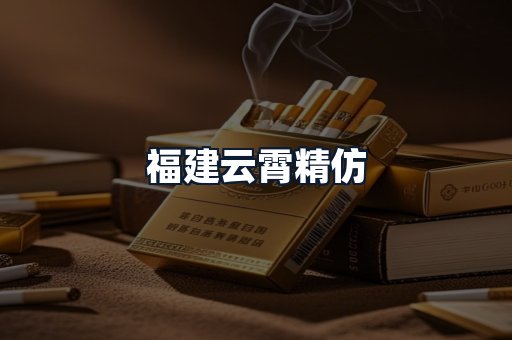 福建云霄精仿